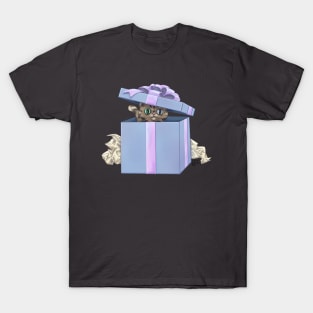 Cat in a Box T-Shirt